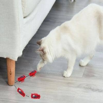 Jouet pour Chat - MiniInsecteToy™ - Scarabée Rouge