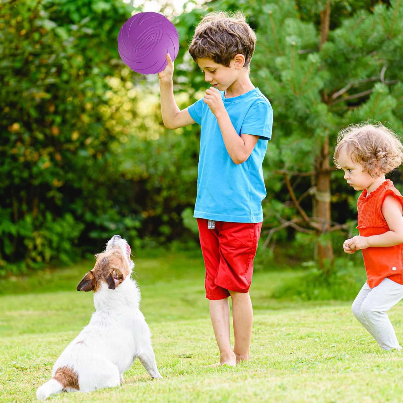 Frisbee Chien - FlyingDiscToys™ - Violet