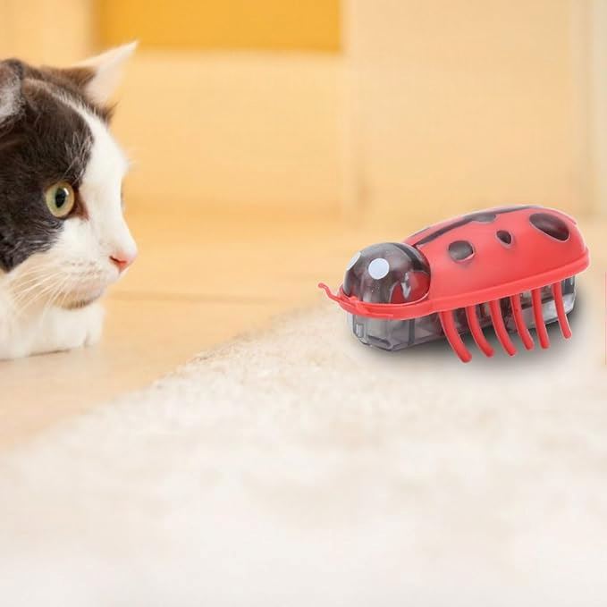 Jouet pour Chat - MiniInsecteToy™ - Coccinelles